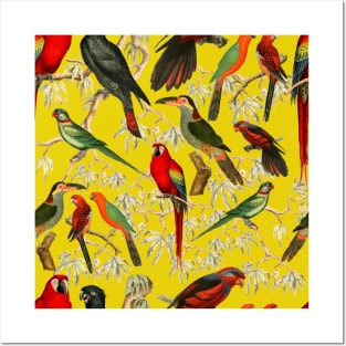 Tropical birds - Yellow Posters and Art